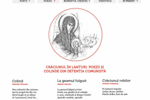 Captură de ecran 2025-11-26 153526