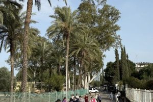 630448392_927322949631211_1125675810630829750_n (1) 630448392_927322949631211_1125675810630829750_n (1)