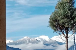 630991954_928831056147067_6899287176725934159_n