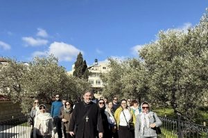 631154446_927324939631012_1592239618622749580_n 631154446_927324939631012_1592239618622749580_n