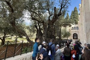 632028689_927324616297711_8310450102786773668_n 632028689_927324616297711_8310450102786773668_n