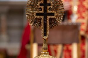 650287870_955720570124782_2654805687734829050_n 650287870_955720570124782_2654805687734829050_n