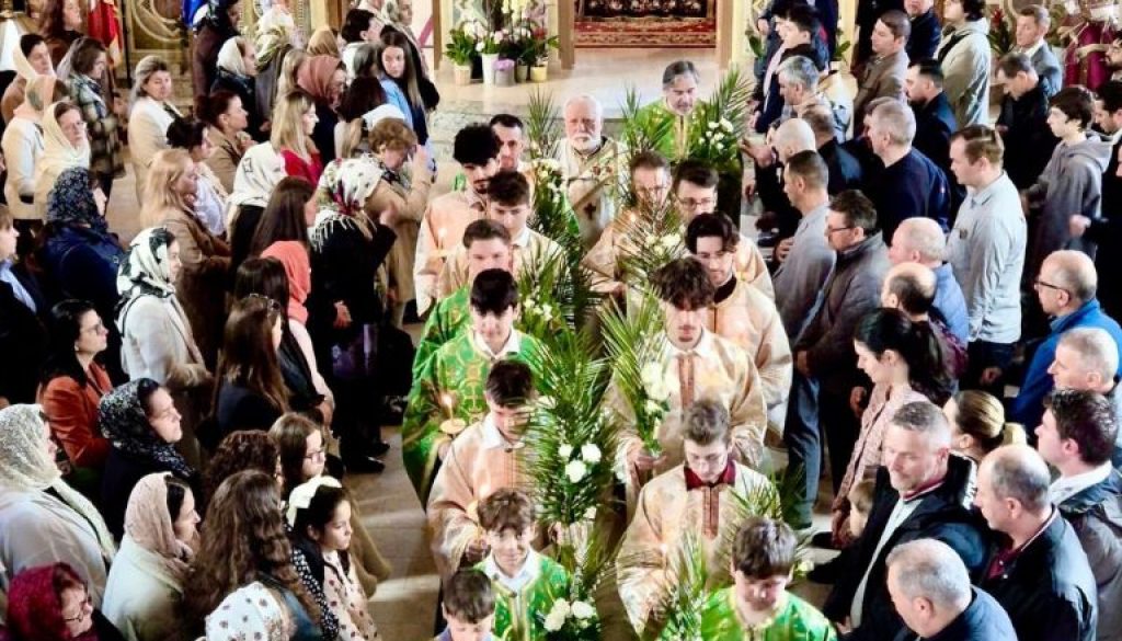 660508298_972641978432641_4744470239867771741_n