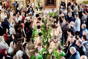 660508298_972641978432641_4744470239867771741_n 660508298_972641978432641_4744470239867771741_n