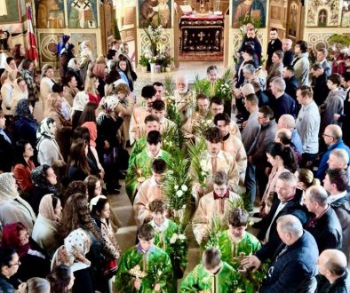 660508298_972641978432641_4744470239867771741_n