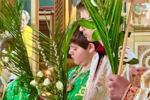 661857397_972642308432608_3459792513040937960_n 661857397_972642308432608_3459792513040937960_n