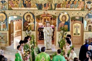 662133986_972642218432617_9098175235473817346_n 662133986_972642218432617_9098175235473817346_n