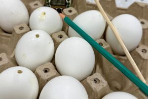 663247041_972309155132590_2663690403280351590_n 663247041_972309155132590_2663690403280351590_n