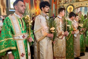 666378316_972642165099289_5805026754301114930_n 666378316_972642165099289_5805026754301114930_n