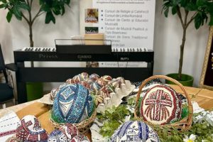 666620210_972309095132596_3851386594987113304_n 666620210_972309095132596_3851386594987113304_n