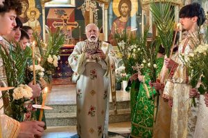 667845121_972642061765966_5341605642493448817_n 667845121_972642061765966_5341605642493448817_n