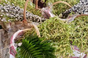 668565532_972642318432607_8446117840858628517_n 668565532_972642318432607_8446117840858628517_n