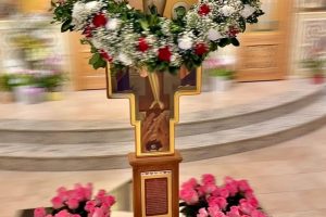 669288547_975317661498406_5364046171017687017_n 669288547_975317661498406_5364046171017687017_n