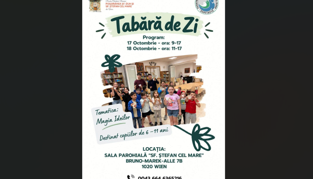 Screenshot 2026-10-13 163521_titlu_1